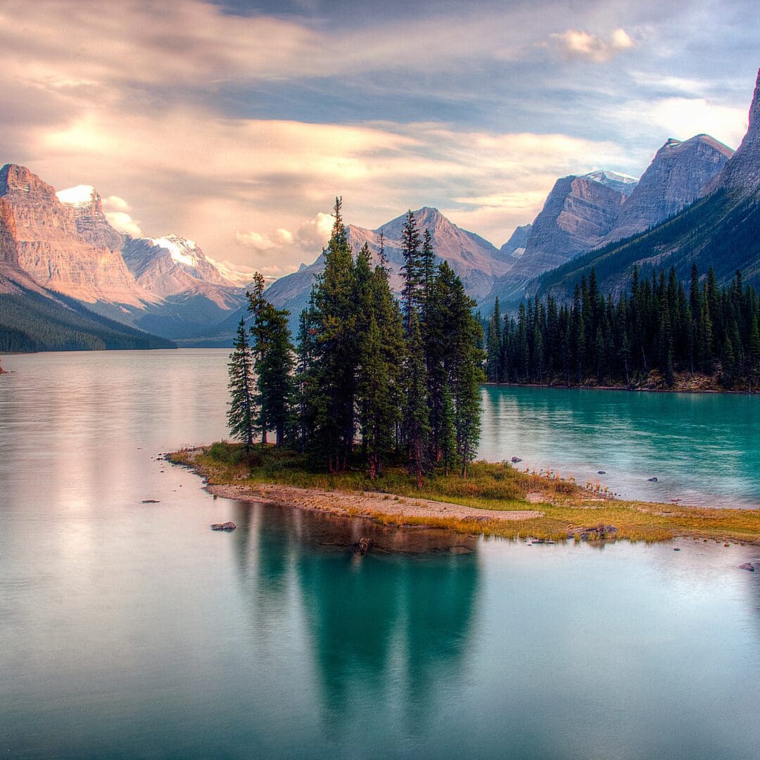 Successful Auto Approval